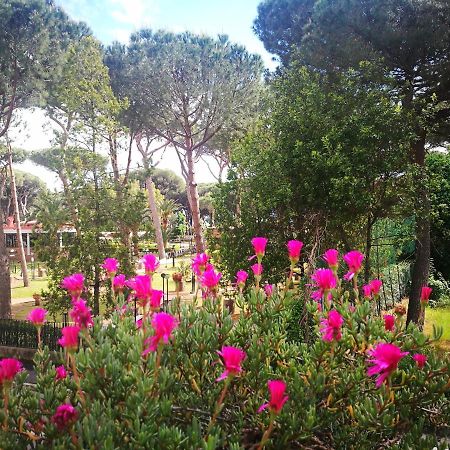Casa Margherita Affittacamere B&B Follonica Eksteriør billede