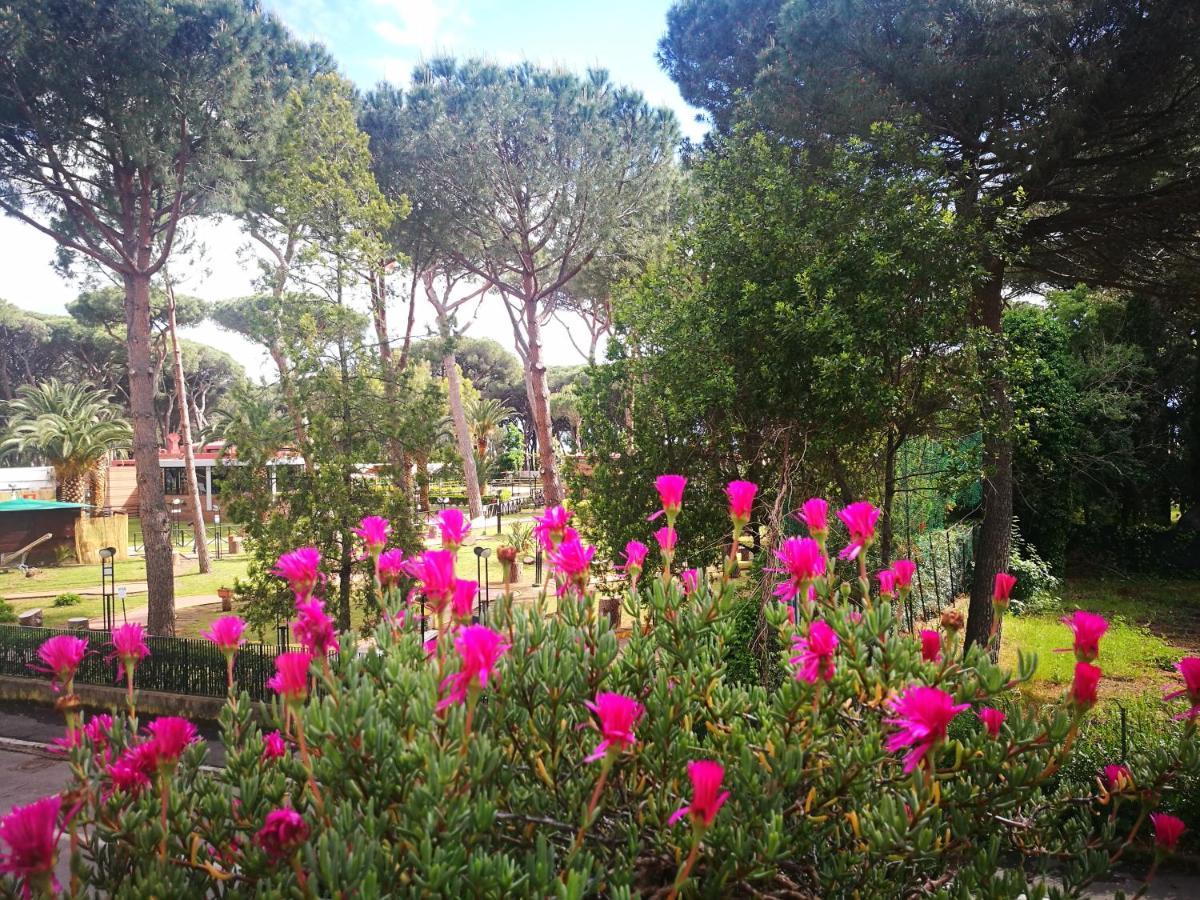 Casa Margherita Affittacamere B&B Follonica Eksteriør billede